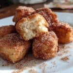 Healthy Air Fryer Churro Bites