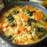 Easy orzo vegetable soup recipe
